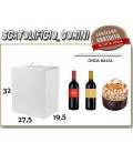 Scatola PANETTONE E BOTTIGLIA NATALE 27,5X19,5X32