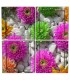 DESIGN 023