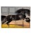 CAVALLO SELVATICO