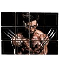 WOLVERINE